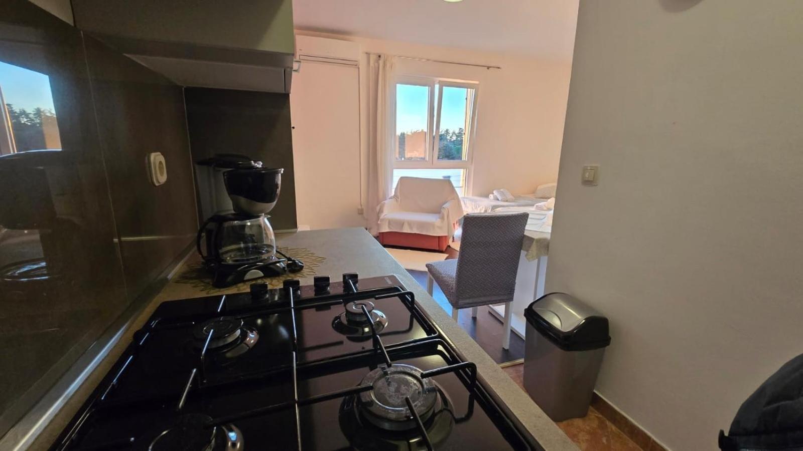 Studio Apartment Ljubica For 2 Persons 150M From The Beach Porec Ngoại thất bức ảnh